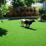 View Pedigree Pet Turf